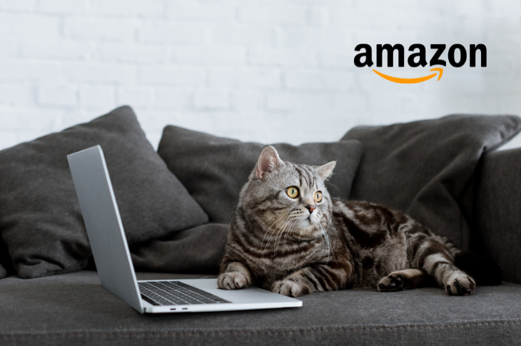 Día del Gato guía de compras en Amazon