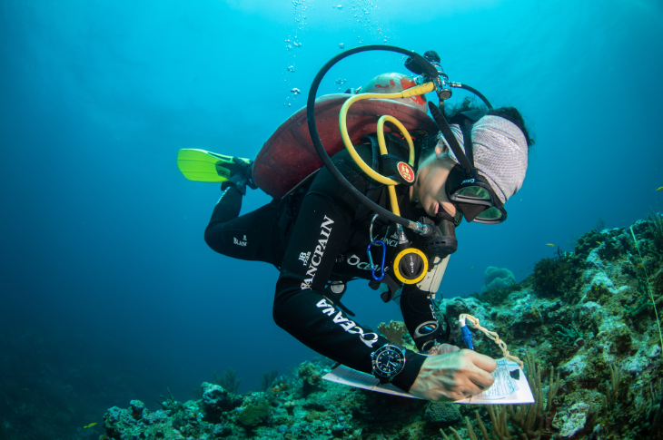 Oceana + Snapchat Una experiencia submarina con Realidad Aumentada 