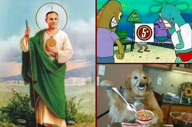 Los mejores memes López-Gatell, perro come cereal, canal 5, Lady Zote