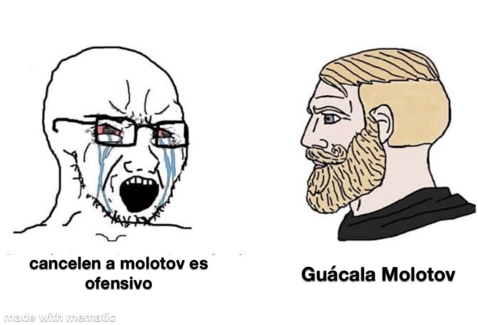 Memes de Molotov y la generación de cristal