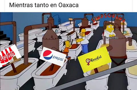 Memes de Oaxaca y la prohibición de chatarra