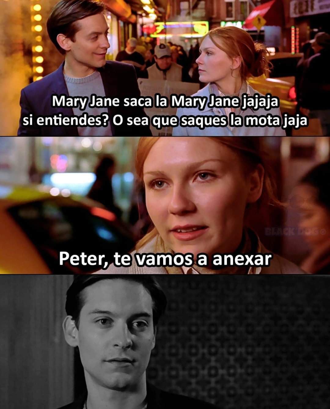 Memes de Peter y Mary Jane
