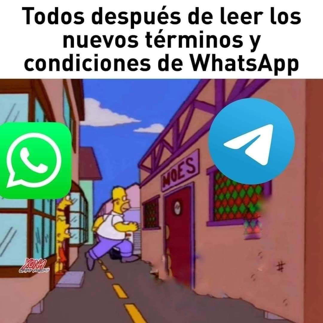 Memes de Whatsapp
