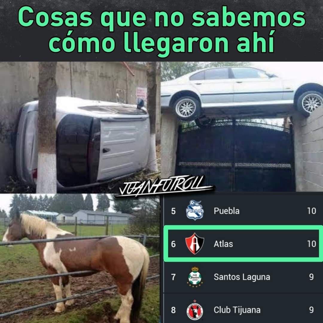 Memes de la Liga MX, Jornada 10