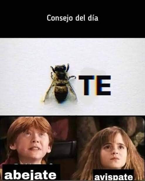 Memes de Ron y Hermione