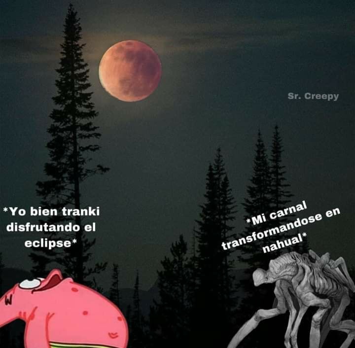 Memes del eclipse