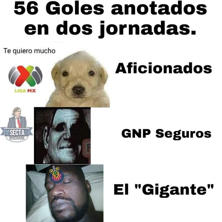 Memes de la Liga MX, Jornada 2