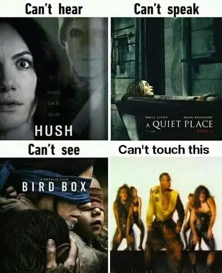 Memes de Bird Box