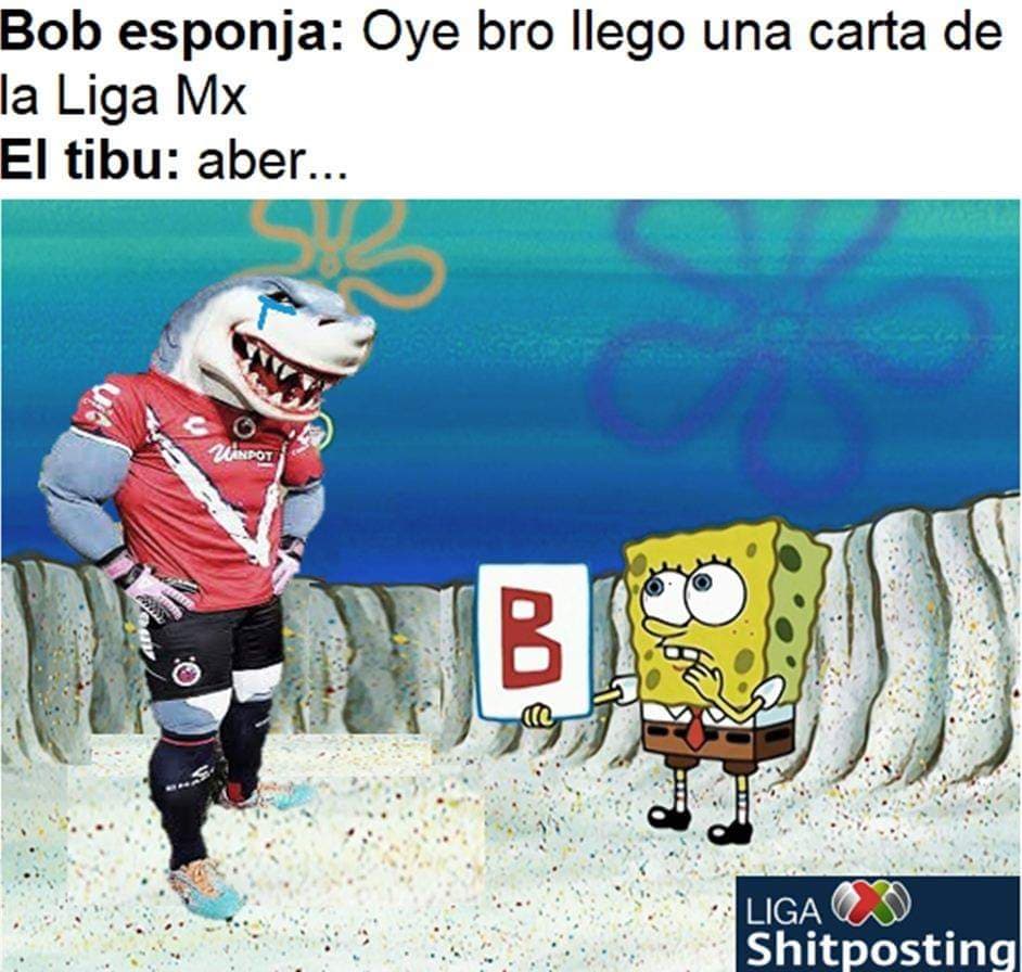 Memes del Veracruz