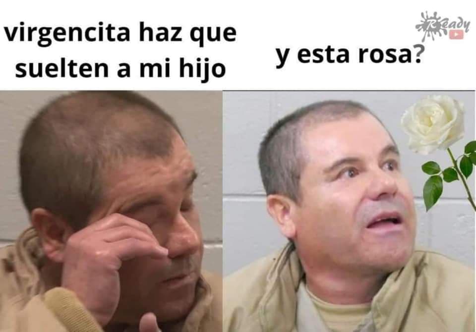 Memes de la liberación del hijo del Chapo Guzmán