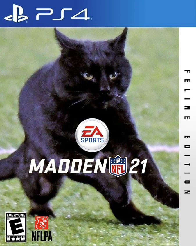 Memes del gato negro en el partido de Cowboys vs Giants