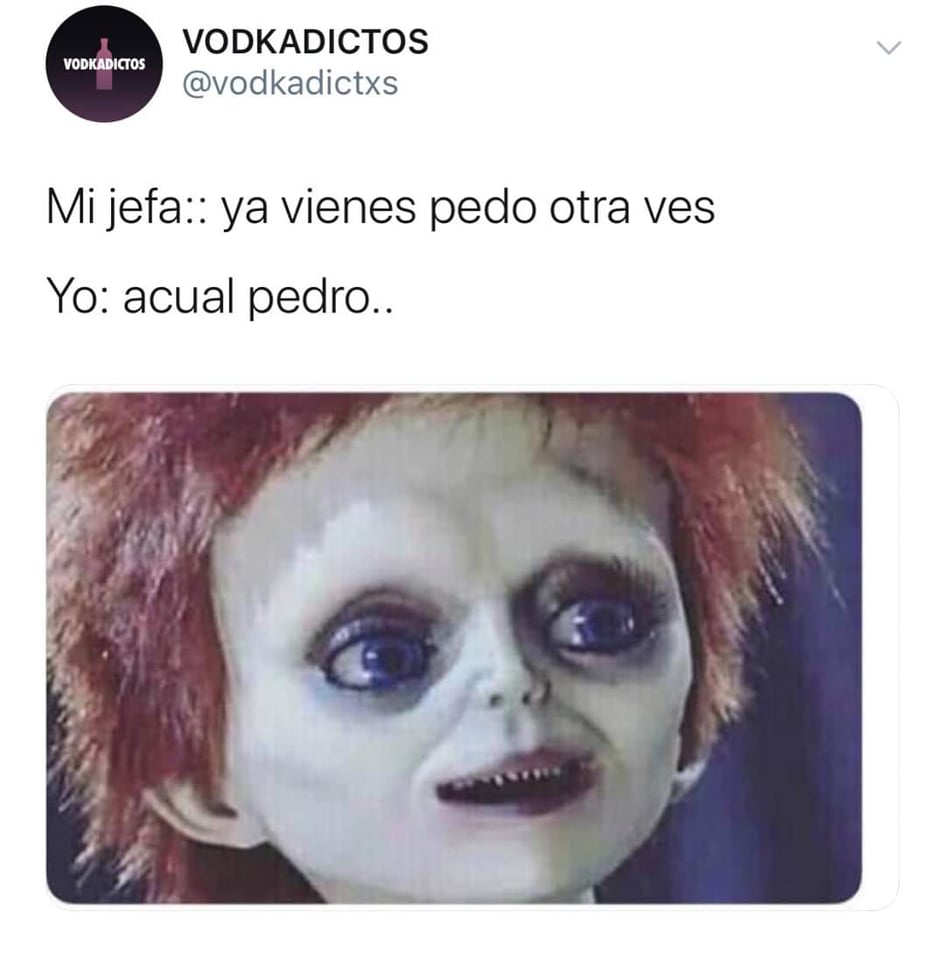 Memes de El hijo de Chucky