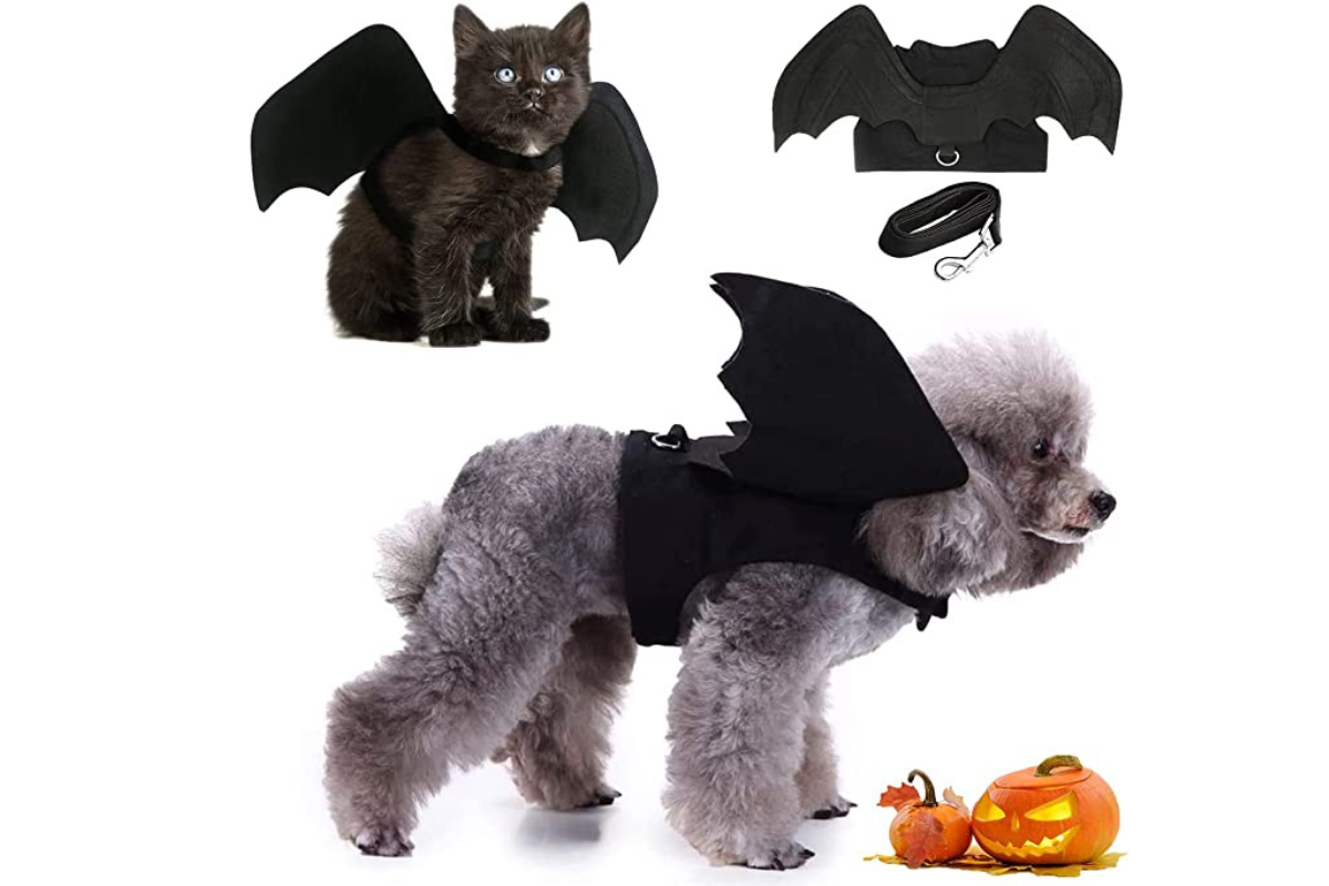 Disfraz de murciélago para perros y gatos 