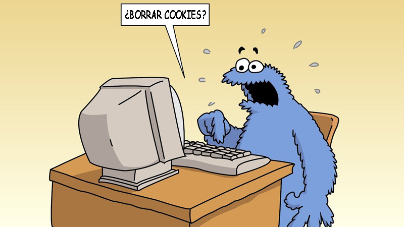 Cómo borrar cookies de tu navegador | PandaAncha.mx