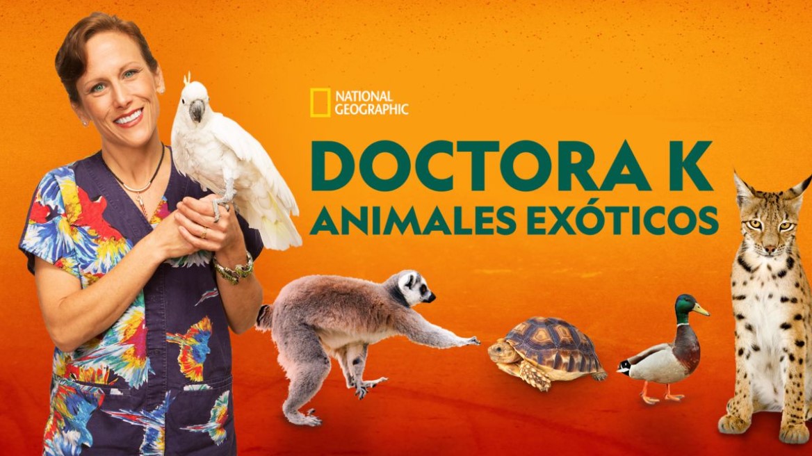 Doctora K: animales exóticos, Temporadas 1 a 5