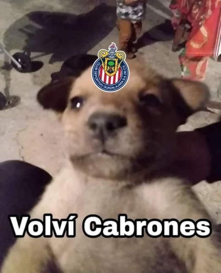 Memes de La Liga MX, Jornada 1